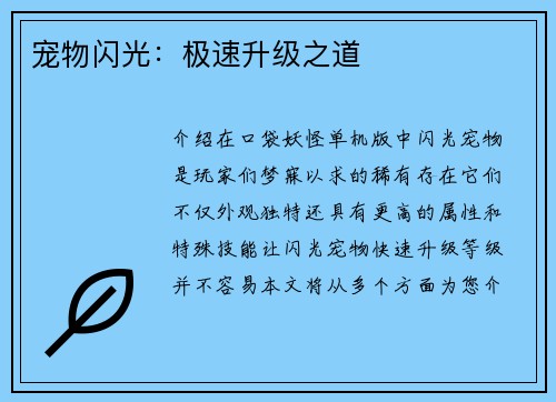 宠物闪光：极速升级之道